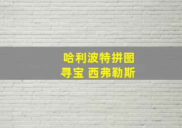 哈利波特拼图寻宝 西弗勒斯